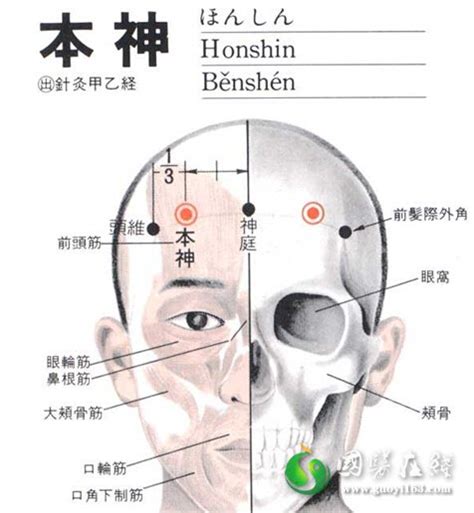 本神穴